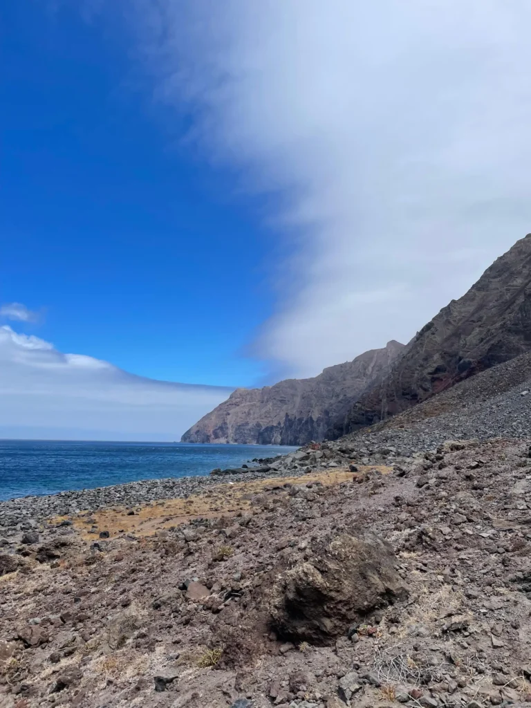 Bijzondere originele activiteiten Madeira walvissen boottour onbewoonde eilanden