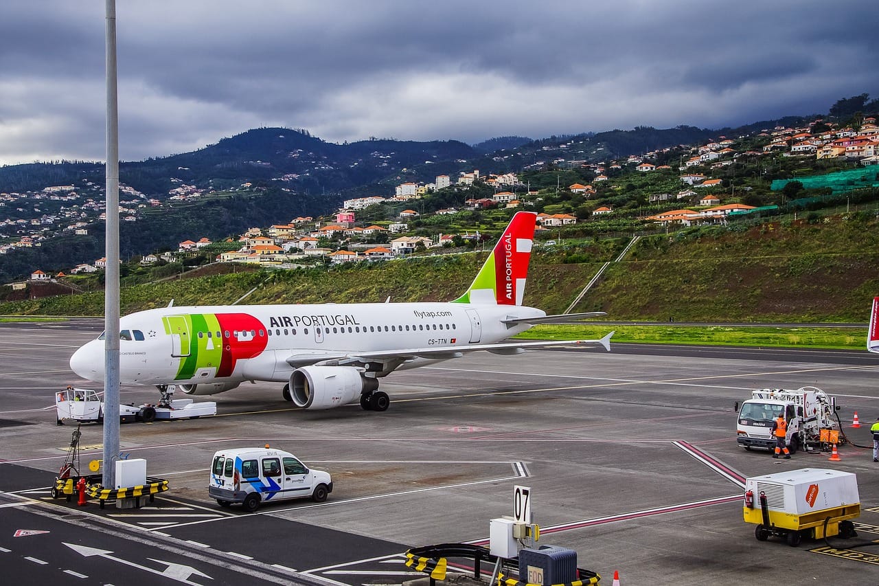 Vliegen madeira