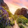 Het weer op Madeira per maand