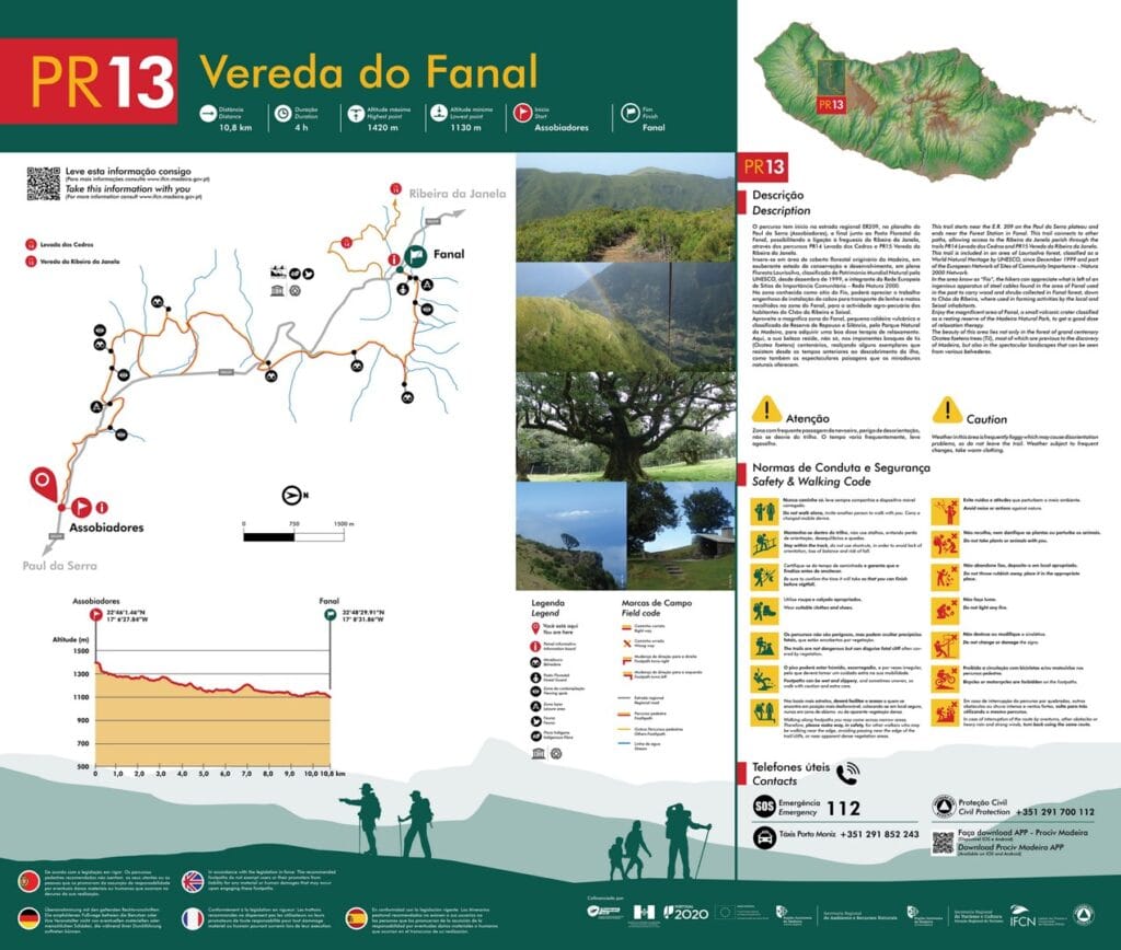 PR 13 Fanal Forest Madeira