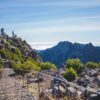 PR 1.2 Vereda do Pico Ruivo  | Het hoogste punt van Madeira