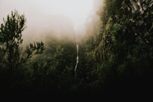 PR6 Levada das 25 Fontes + Risco waterval