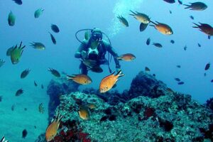 Een avontuurlijke vakantie: Duiken, canyoning en nog meer op Madeira