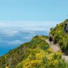 7 Veelgestelde vragen over Madeira in één keer beantwoord