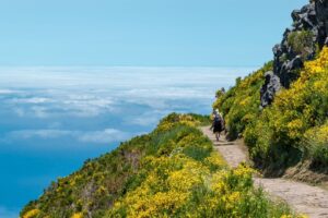 7 Veelgestelde vragen over Madeira in één keer beantwoord