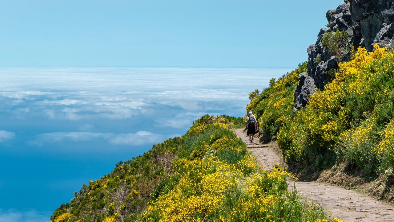 Veelgestelde vragen Madeira