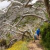 Naar Madeira met kinderen | Leuke en praktische tips + hotels