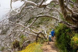 Naar Madeira met kinderen | Leuke en praktische tips + hotels