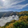 PR 4 Levada do Barreiro | Rustige wandeling op Madeira
