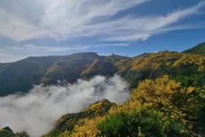 PR 4 Levada do Barreiro | Rustige wandeling op Madeira