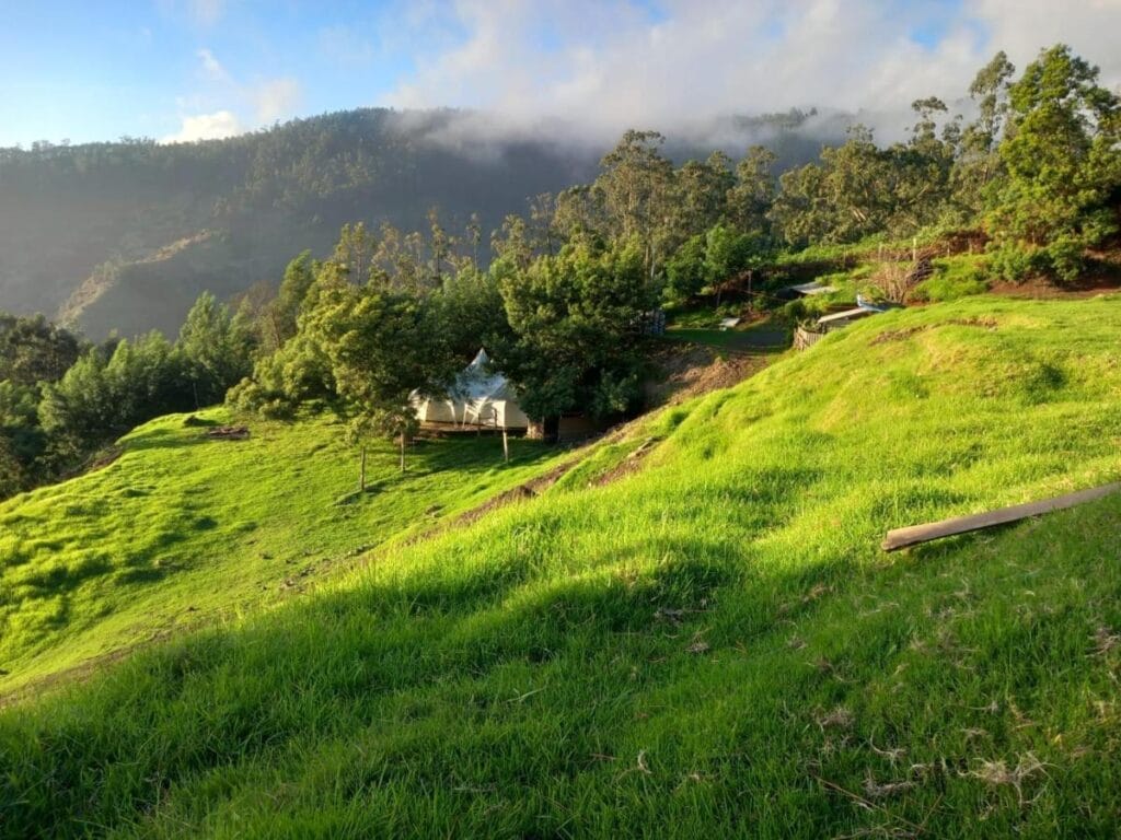 Eco glamping Madeira Eco glamping Madeira