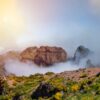 Madeira voor beginners | Dit moet je allemaal weten!
