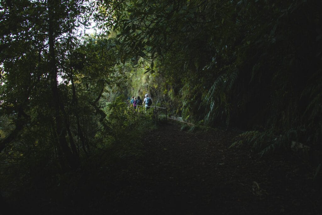 PR 10 Levada do Furado