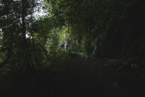 PR 10 Levada do Furado | Gemakkelijke en mooie hike op  Madeira