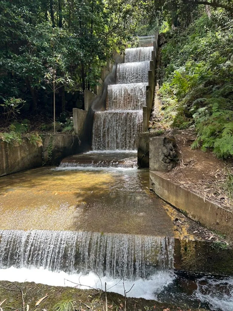 Levada's Madeira