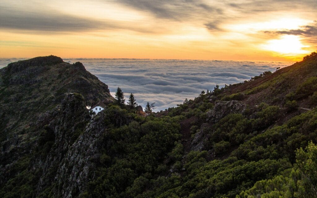 Madeira verkennen hoe Madeira verkennen hoe