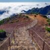 Pico Ruivo | Handige tips om de hoogste berg van Madeira te beklimmen