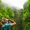 Dit moet je zeker gezien hebben op Madeira | 15 tips voor jou!