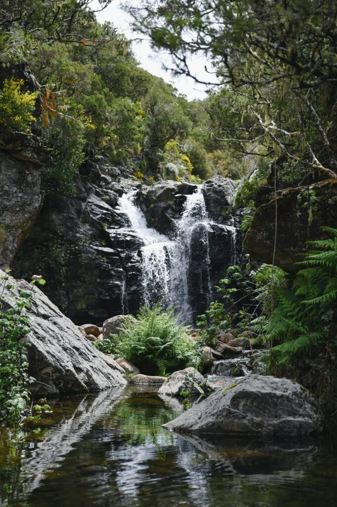 Korte levada madeira