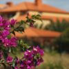 Een dag op Porto Santo | Leuke dagtrip vanuit Madeira
