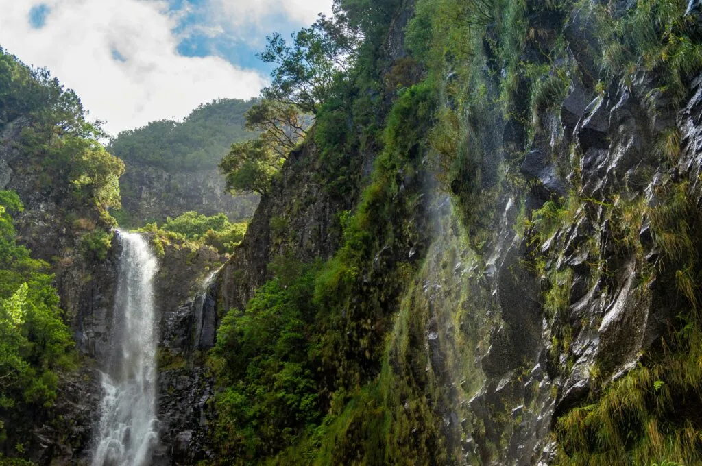 25 fontes iconische wandeling madeira