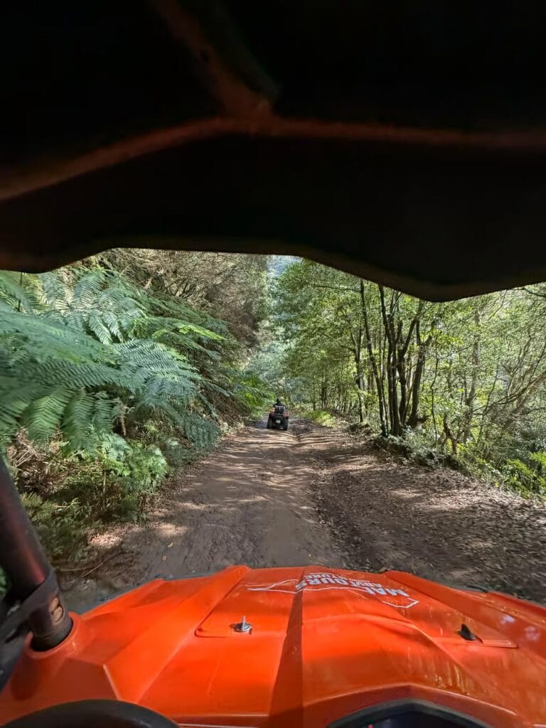 Buggy Madeira leuke activiteit