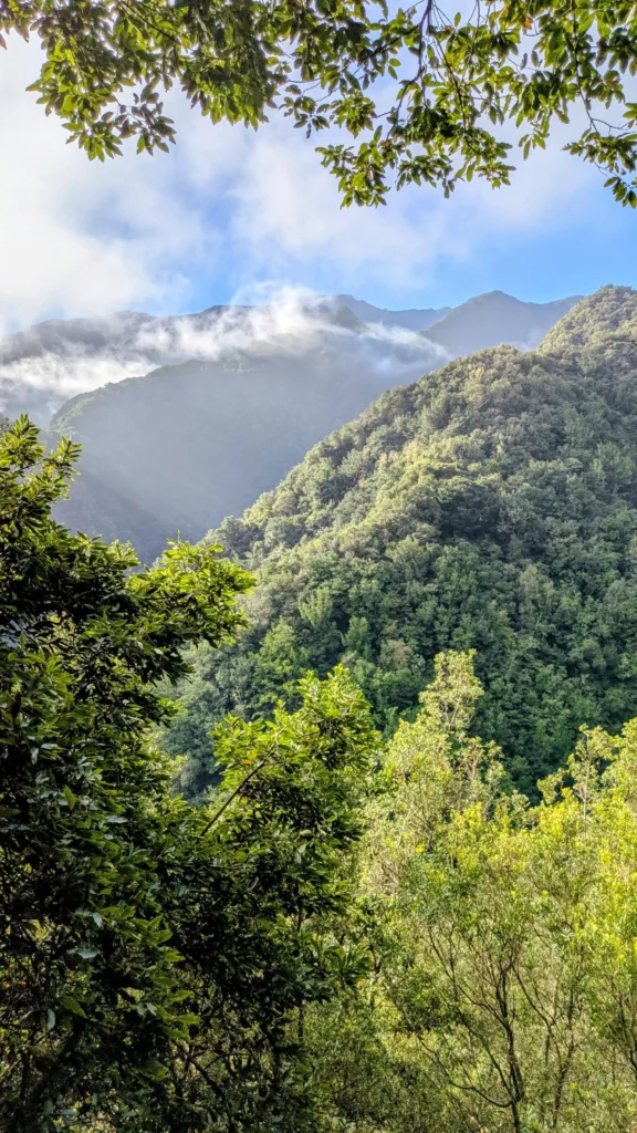 Levada noord-madeira