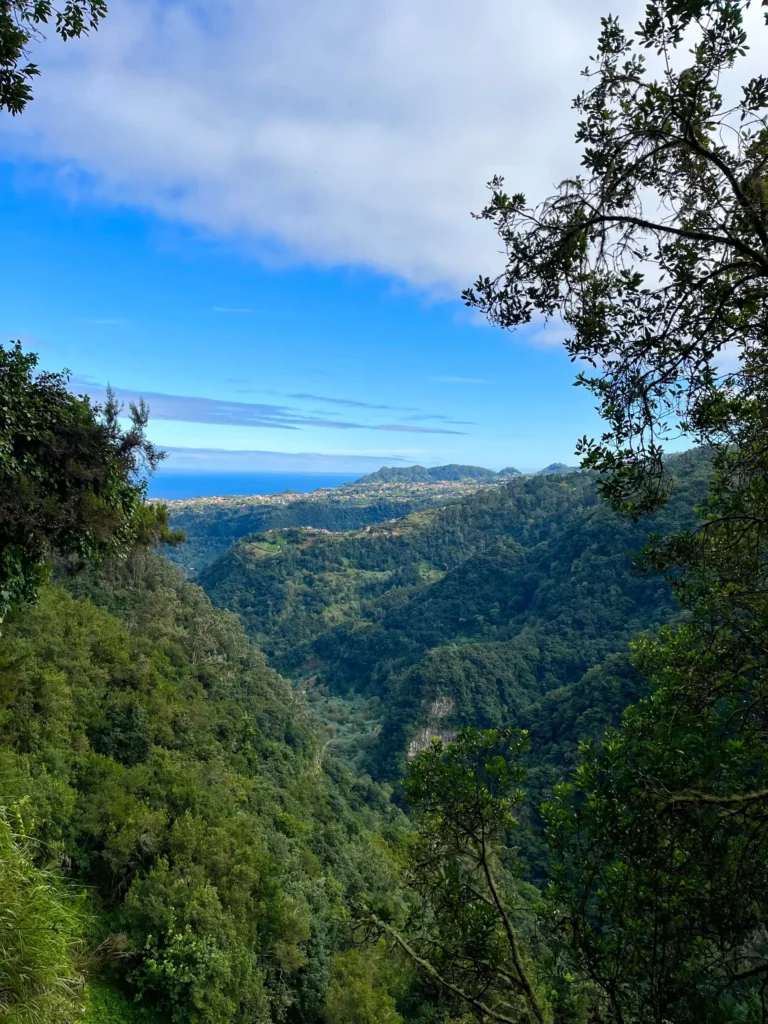 Makkelijke levada wandeling op madeira