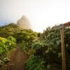 Dit zijn de meest bekende wandelingen van Madeira