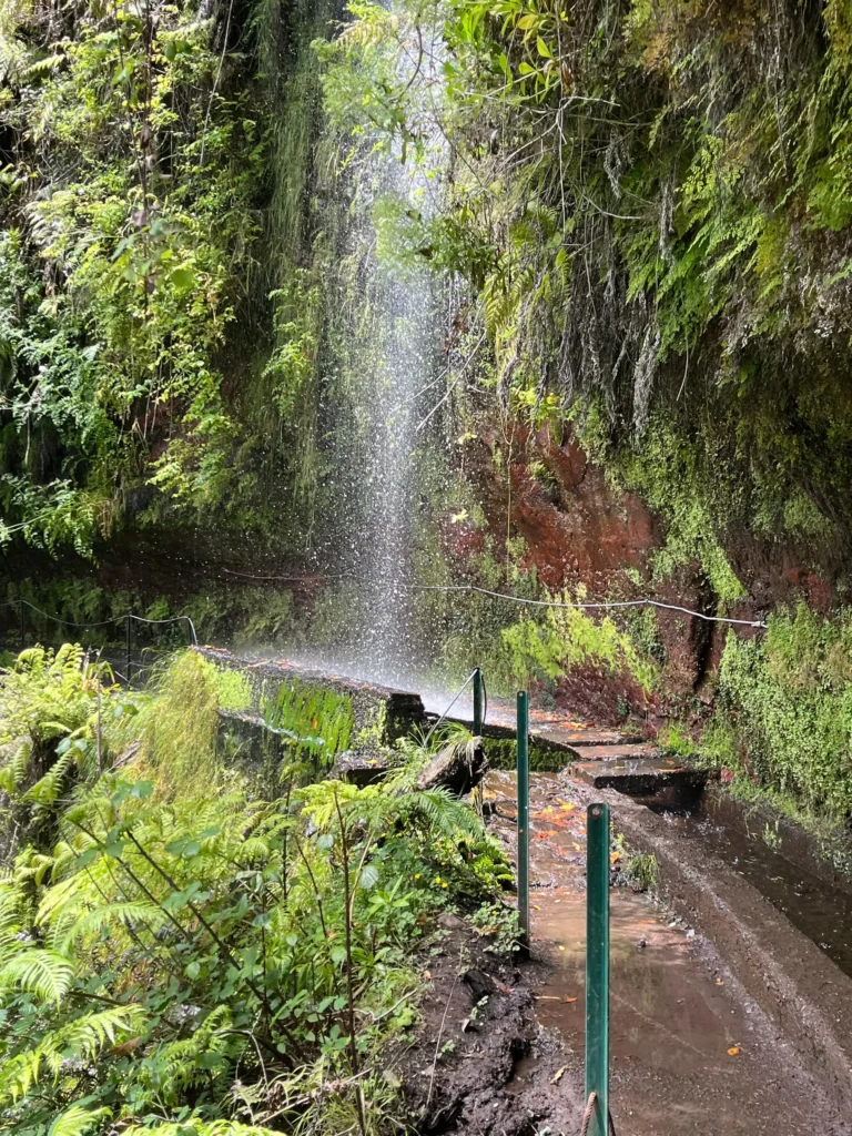 PR18 Levada do Rei Kings Levada Hike