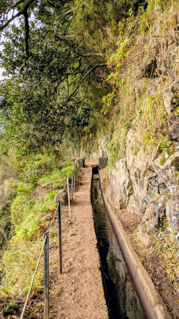 Wandelen met kinderen op Madeira PR18
