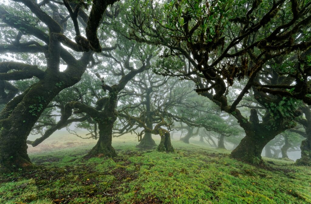 Wandelen op Madeira