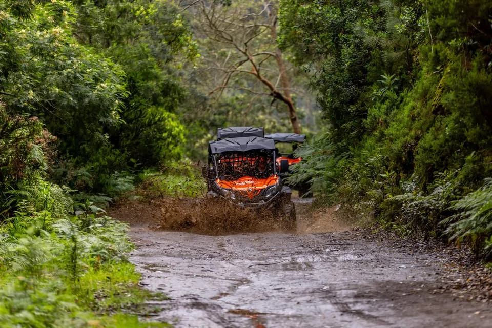 buggy madeira rijden