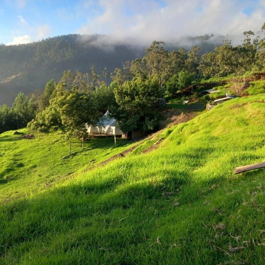 Eco glamping Madeira Eco glamping Madeira