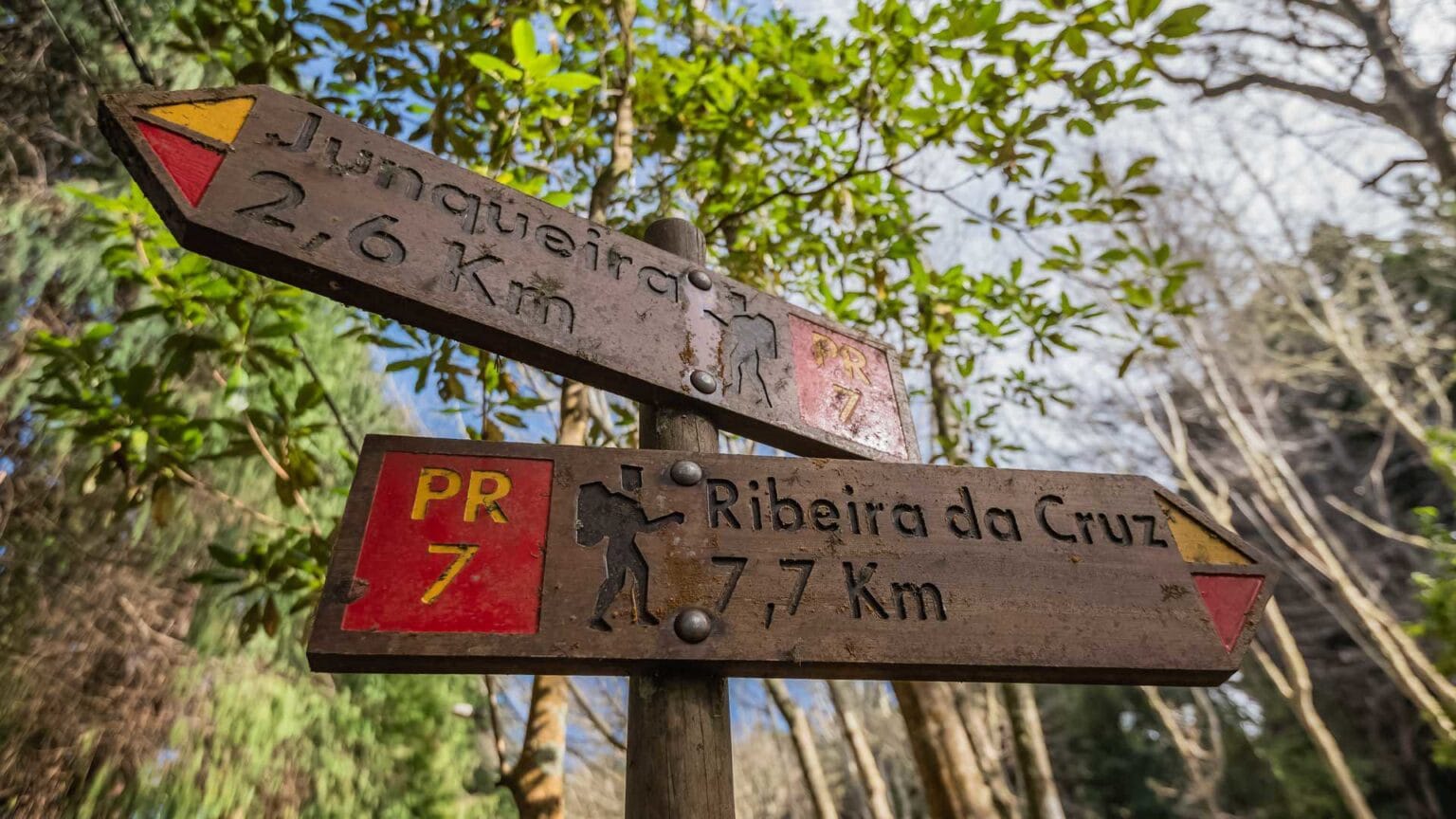 Levada Nova PR7 Madeira