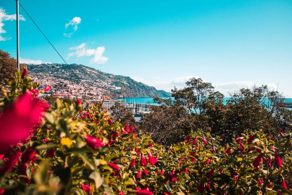 Madeira reisgids tips ervaringen