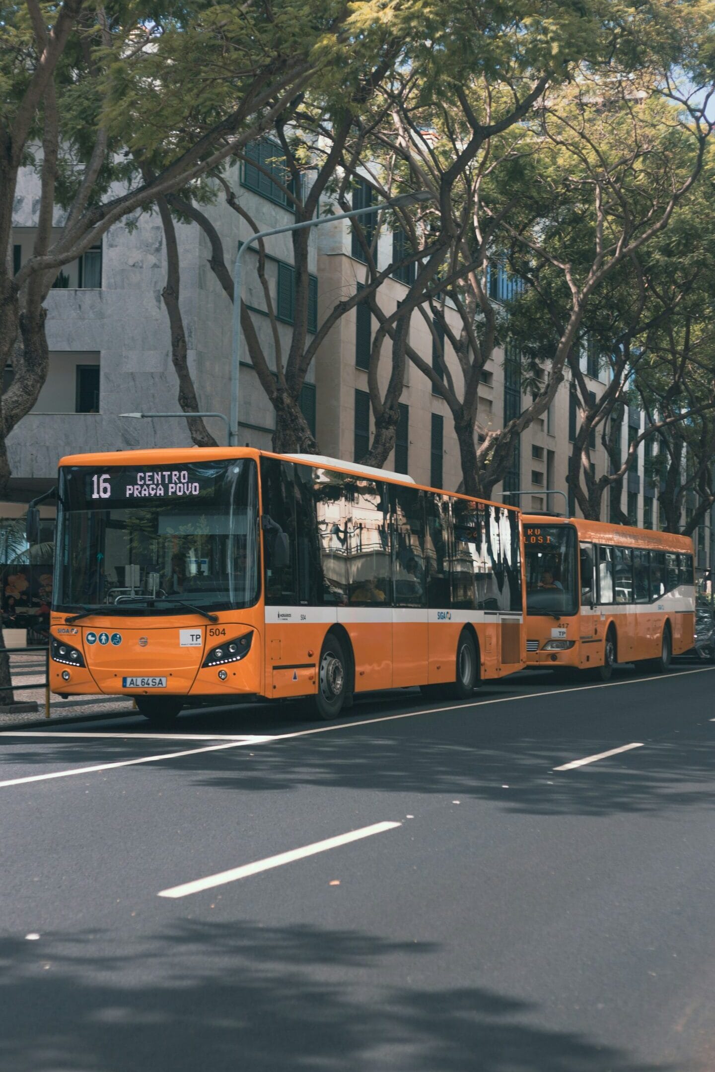 Openbaar vervoer Funchal