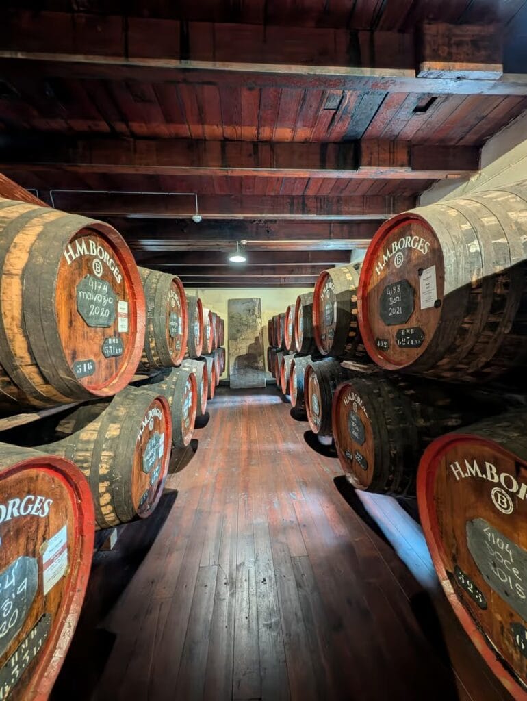 Wijnproeverij Funchal