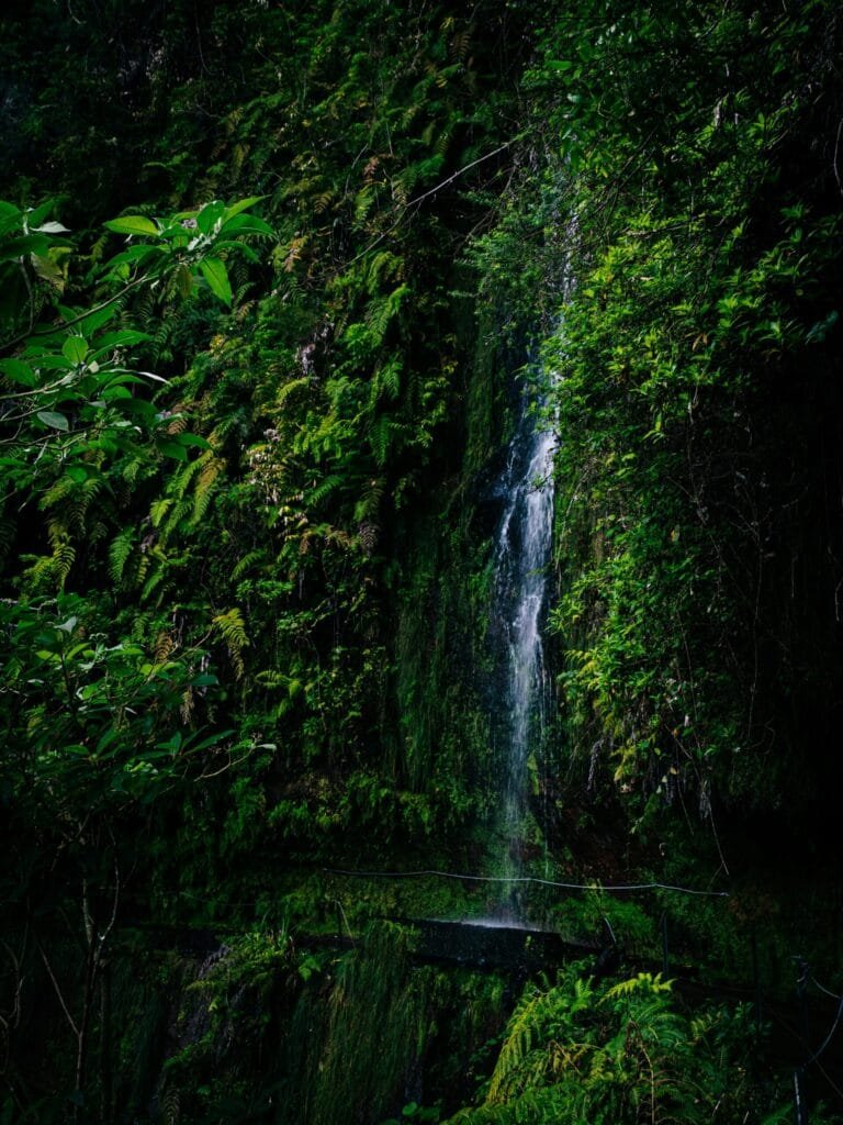 Levada do Rei onze favoriete waterval Madeira