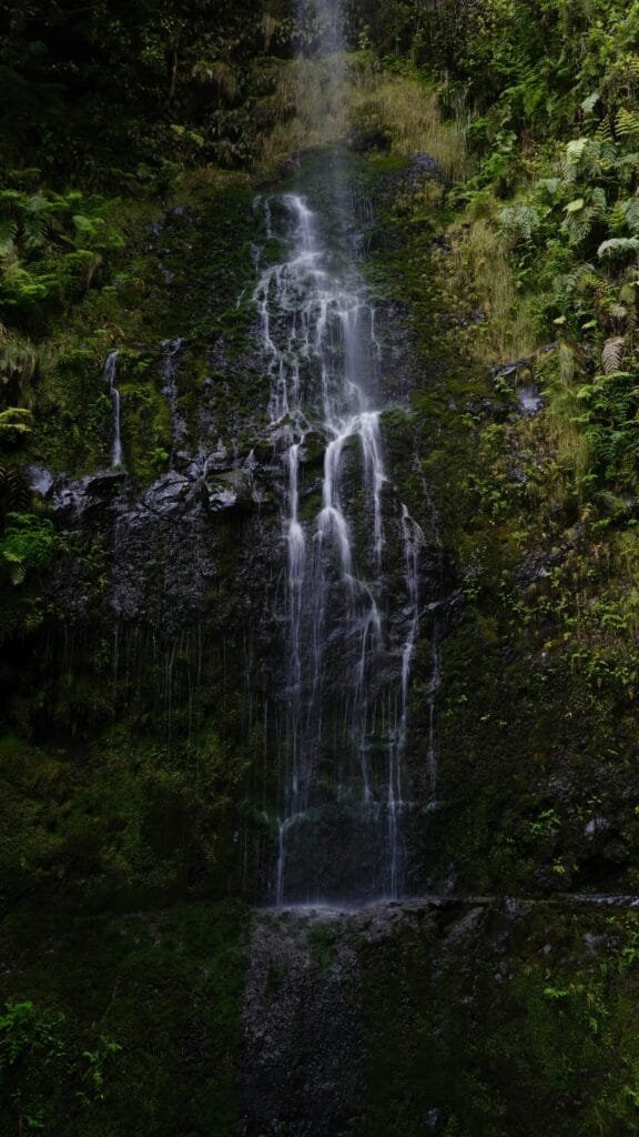 Mooiste waterval madeira Funchal