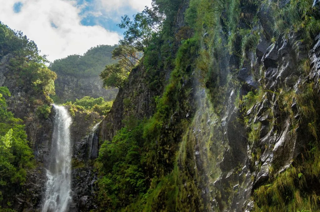 Levada do Risco waterval korte levada wandeling Madeira