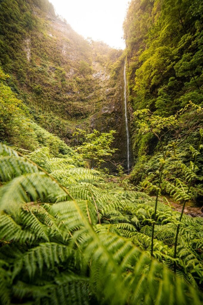 Waterval Caldeirao Verde PR9 favoriete waterval Madeira