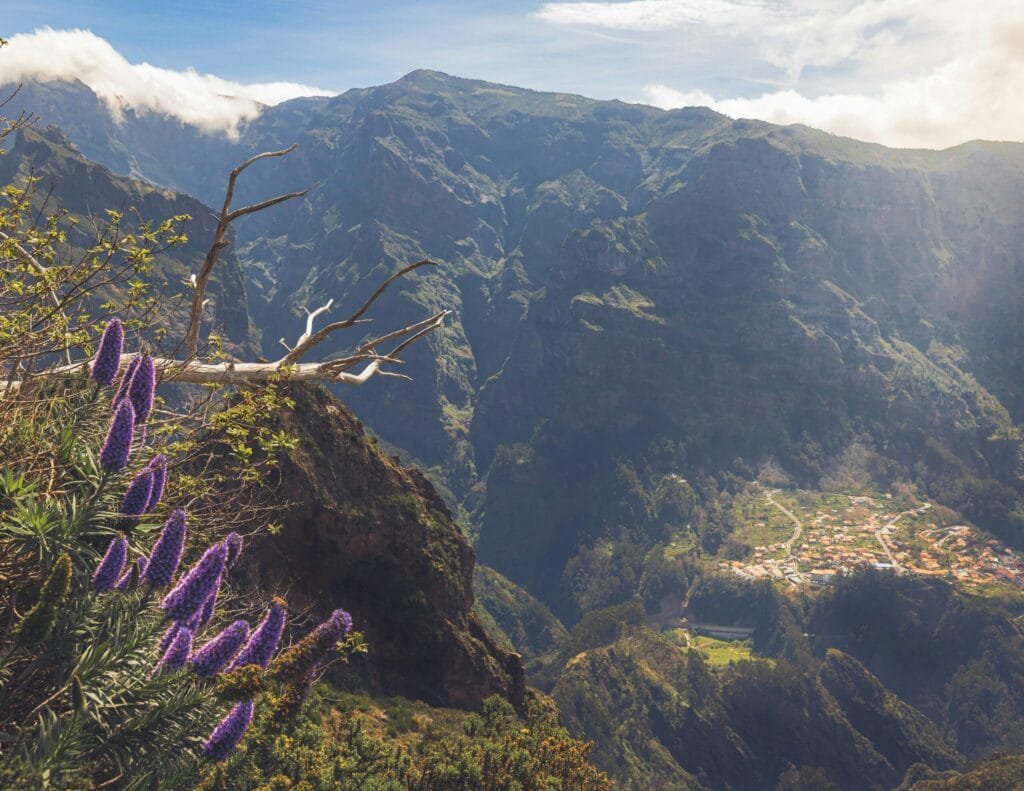 uitzicht pico grande